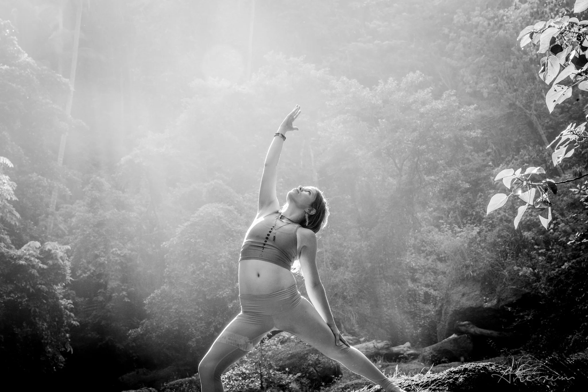 Forrest-Inspired Yoga