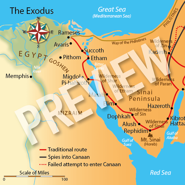 Exodus Preview-min.png