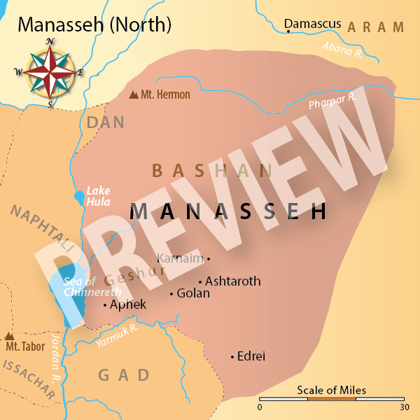 Manasseh N Preview.png