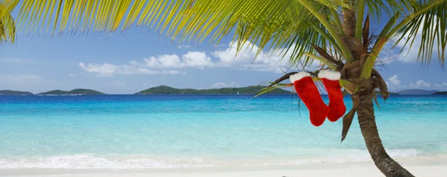 Annual Holiday Salsa & Rueda Party 