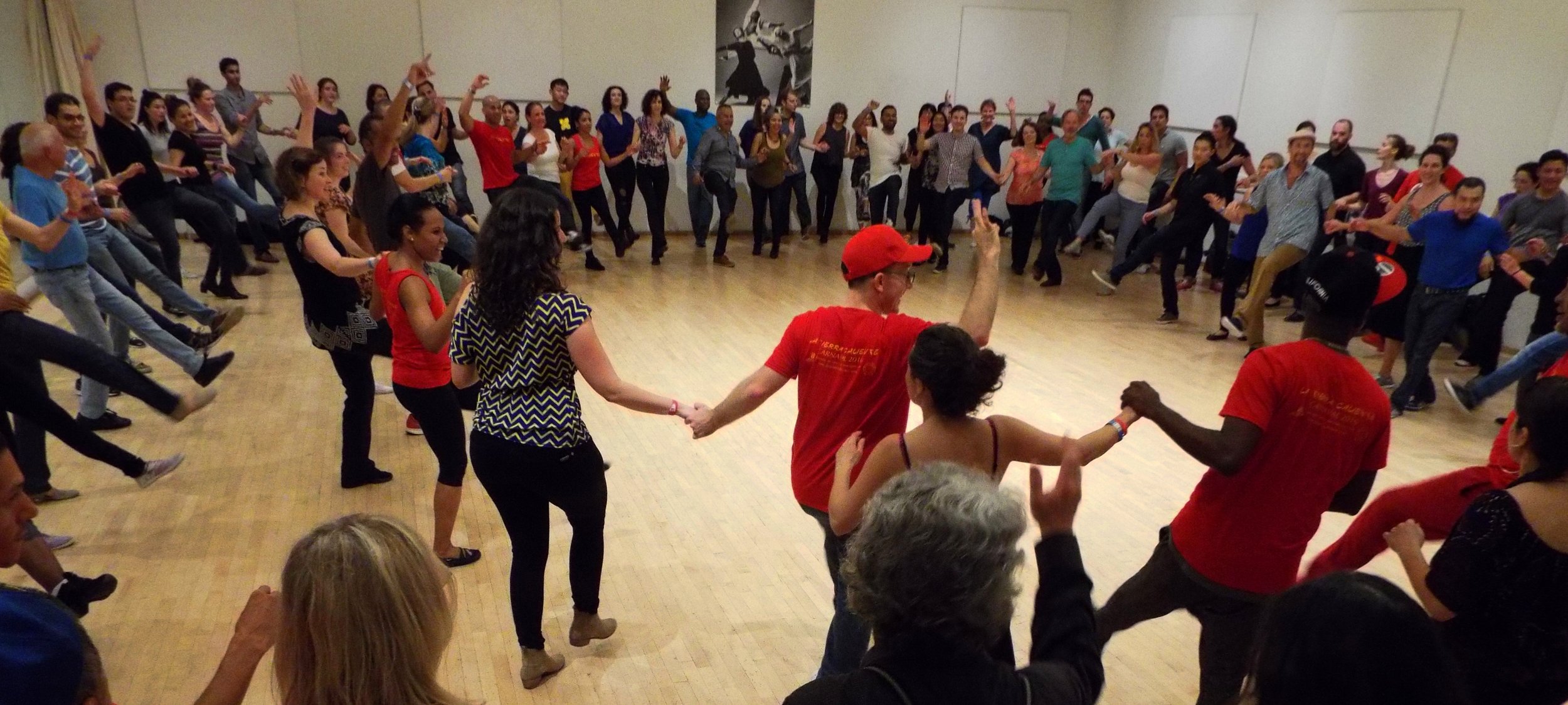 DSCF1109 cropped saturation.JPG