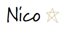 nico creative co web designer.png