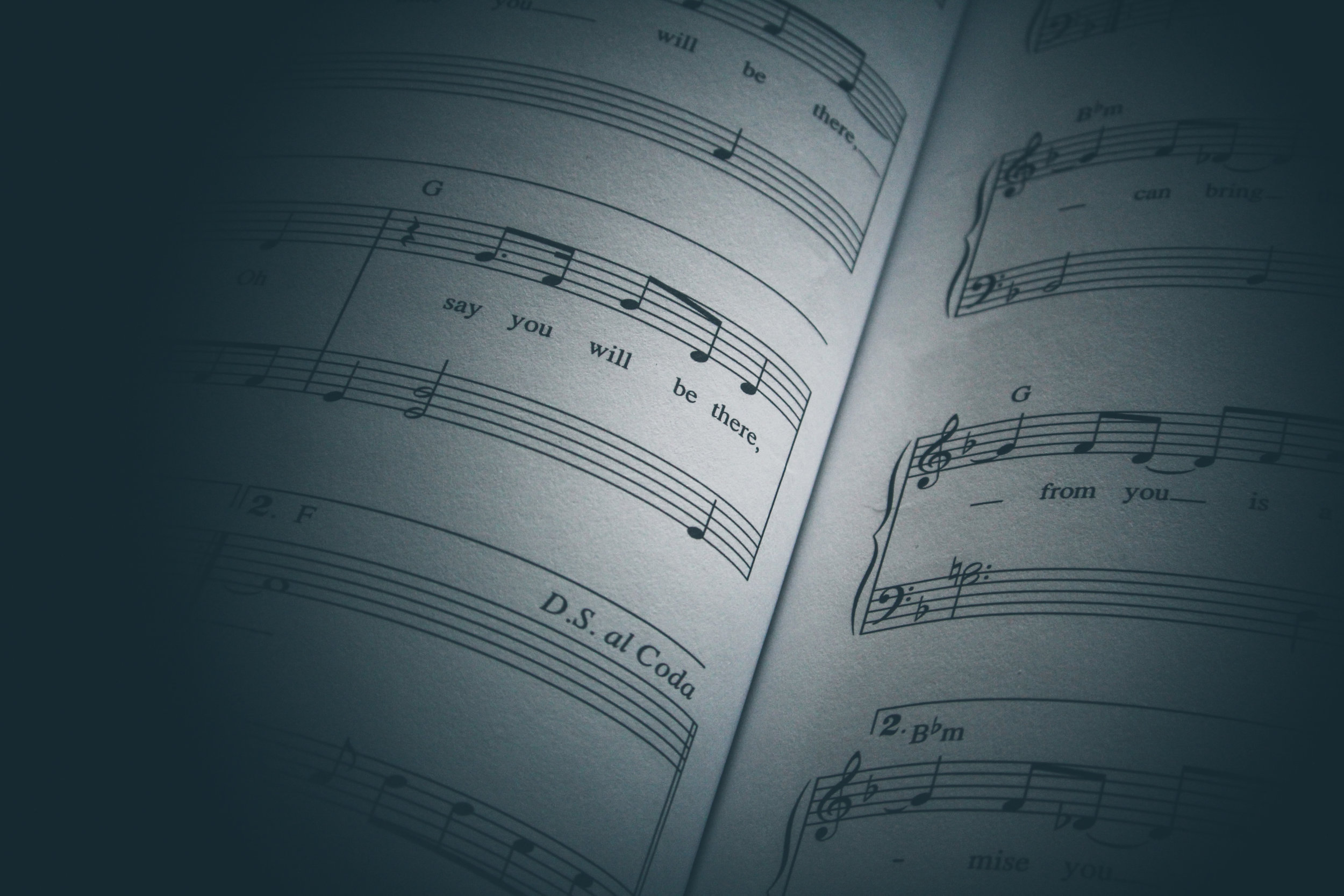 Setting Up for Online Voice Lessons
