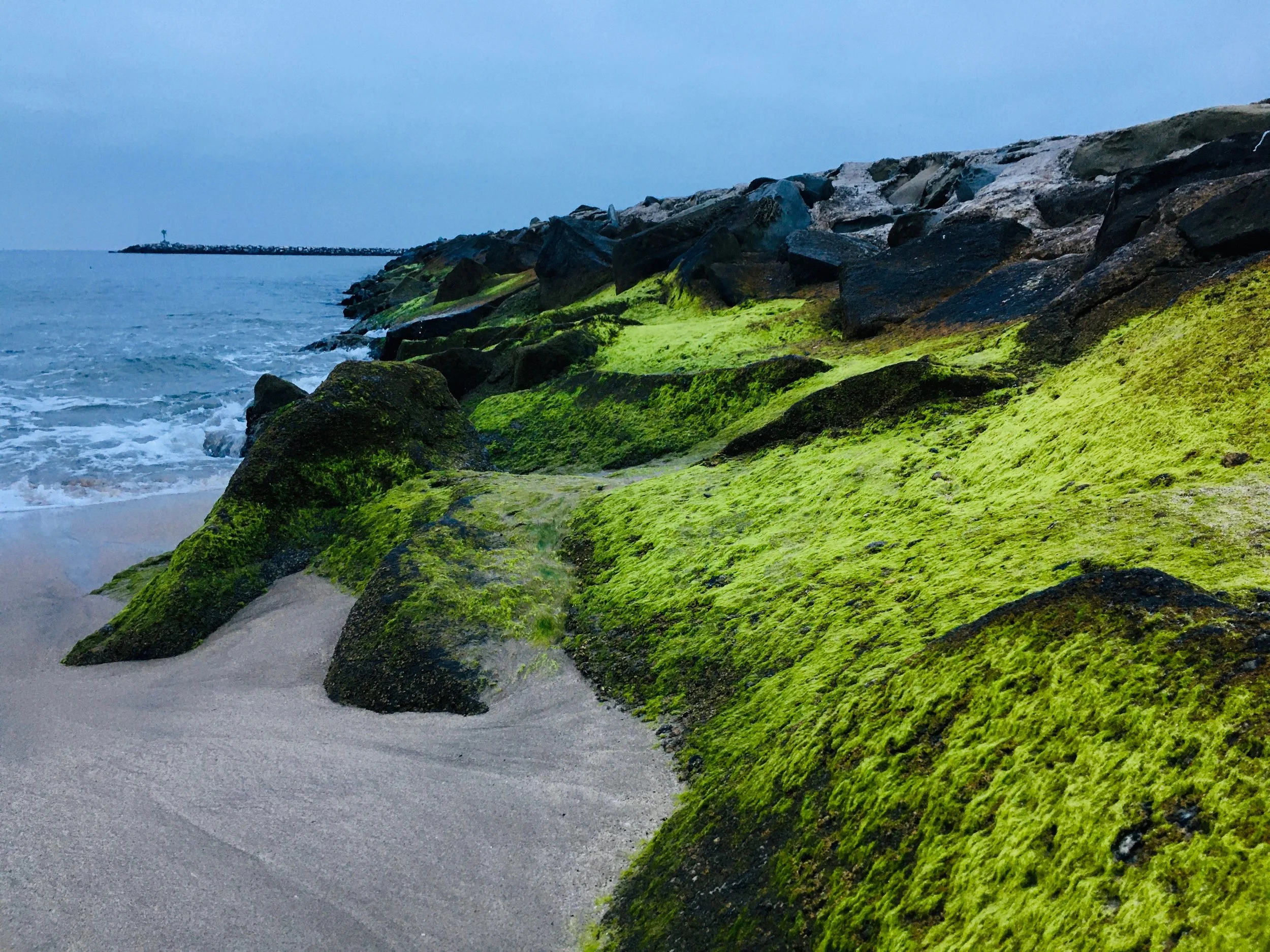 Always Something New