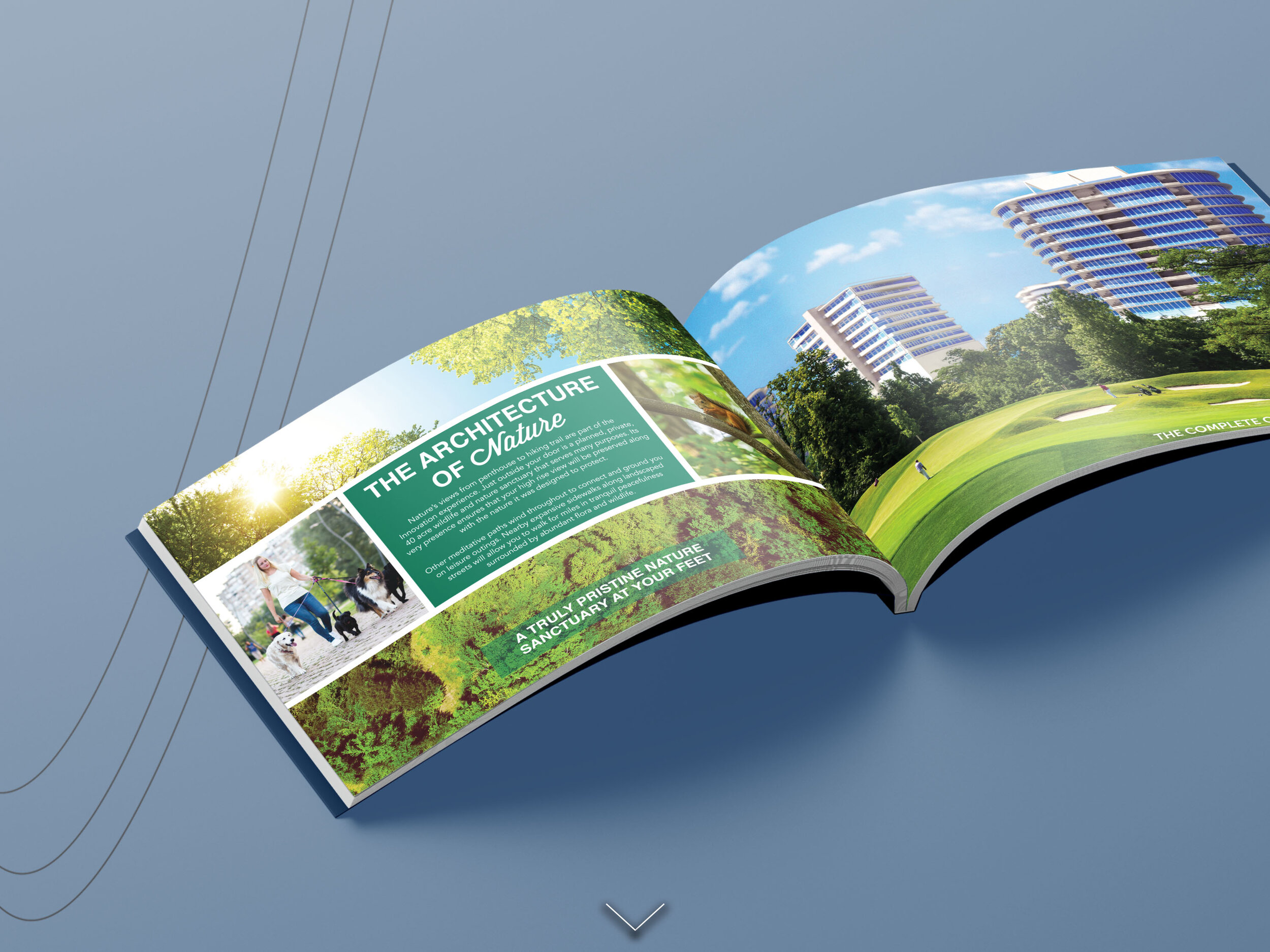 High Rise Sales Brochure - Photos and Layout