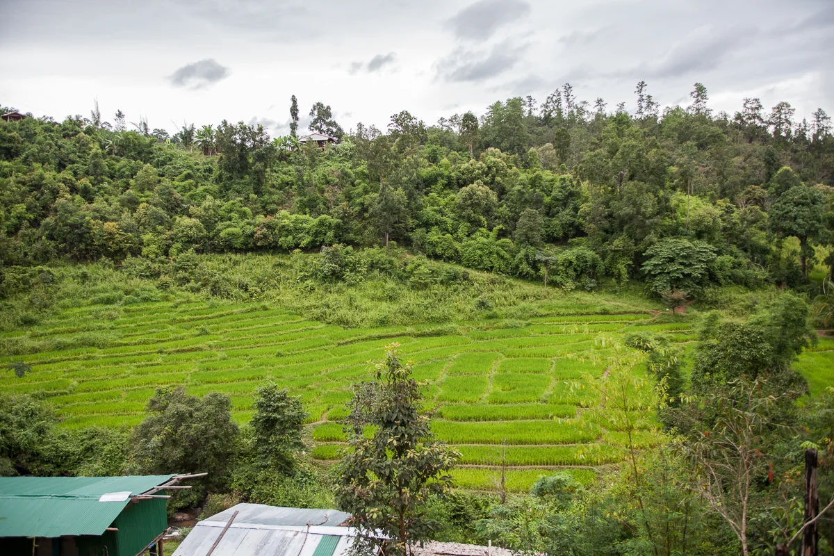 Chiang_Mai-84.jpg