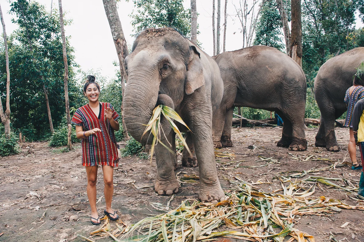 Chiang_Mai-93.jpg
