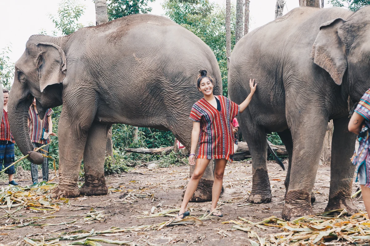 Chiang_Mai-96.jpg