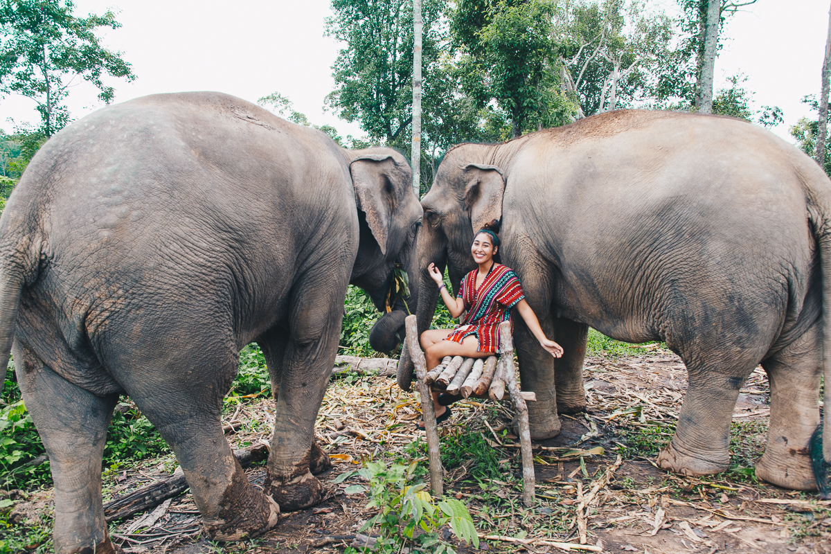 Chiang_Mai-100.jpg
