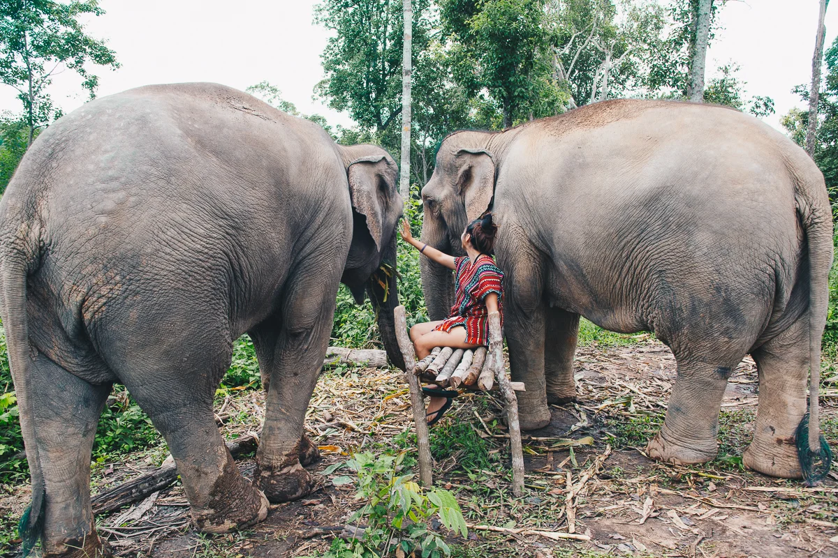 Chiang_Mai-103.jpg