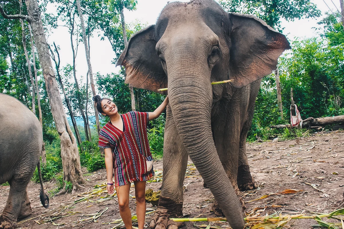 Chiang_Mai-113.jpg