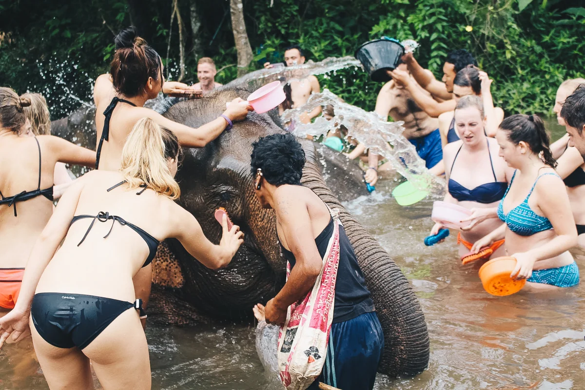 Chiang_Mai-115.jpg