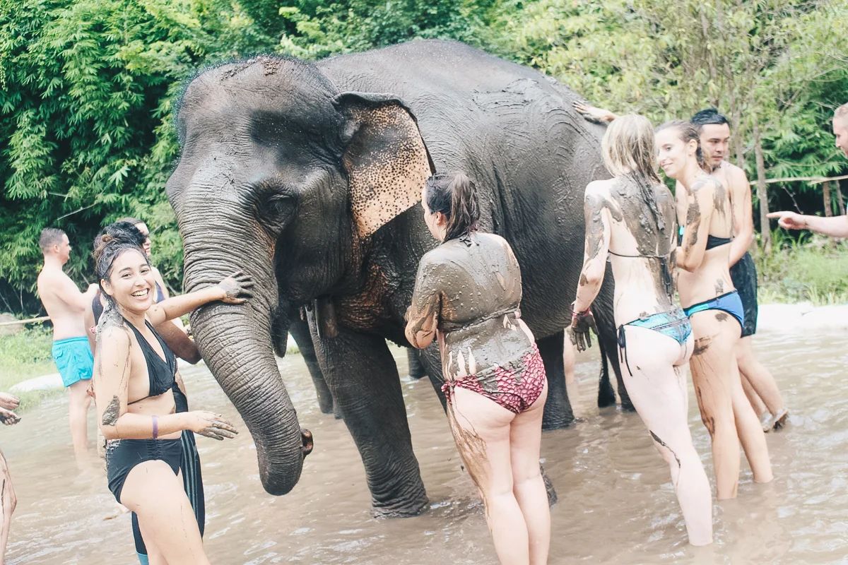 Chiang_Mai-120.jpg