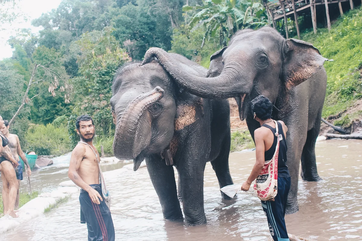 Chiang_Mai-125.jpg