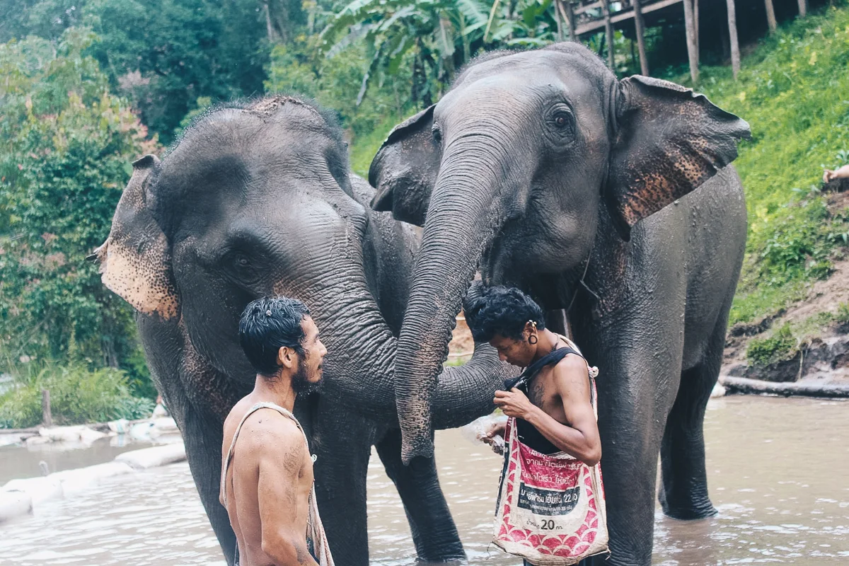 Chiang_Mai-126.jpg