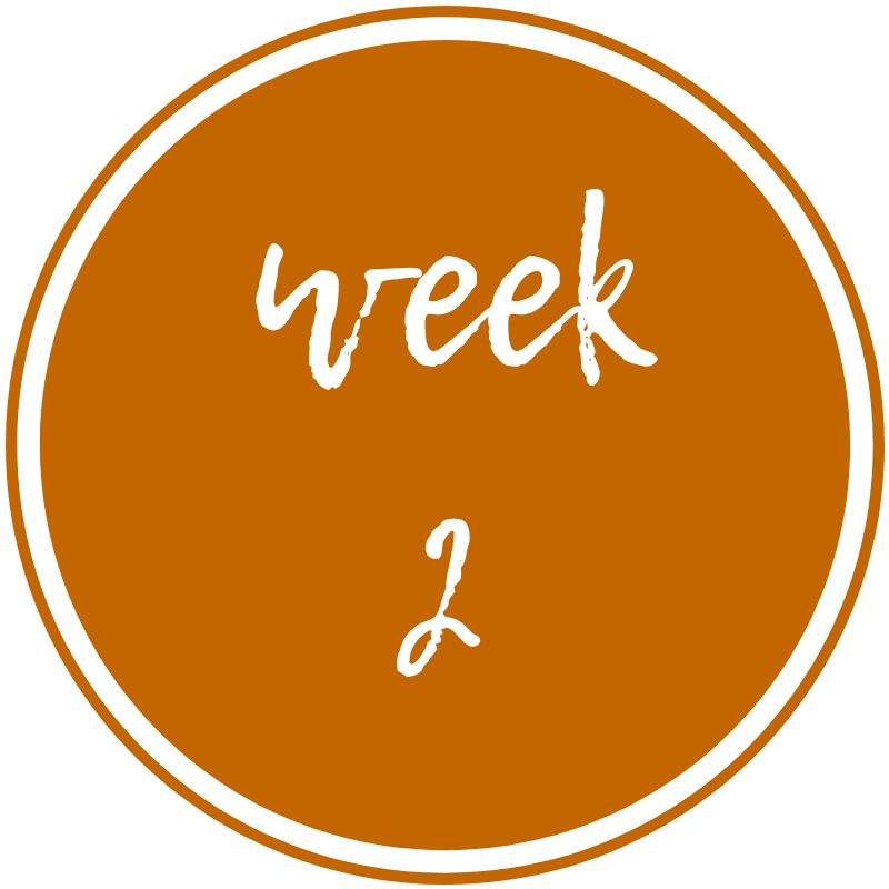 Week-2.png
