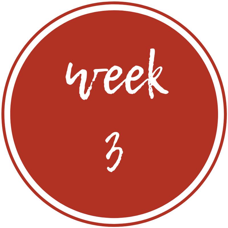 week-3.png