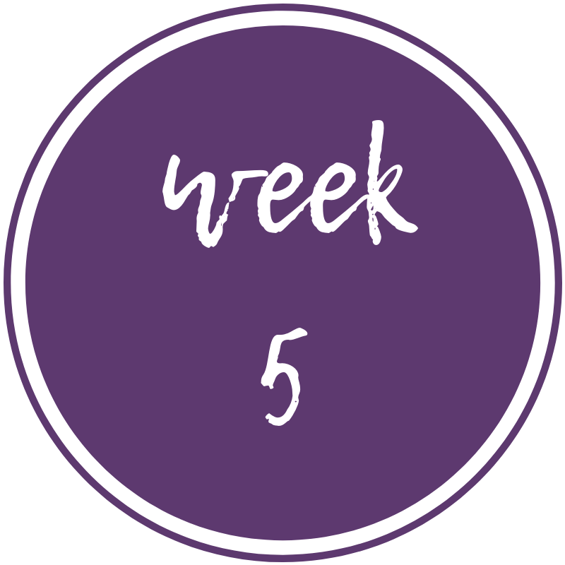 week-5.png