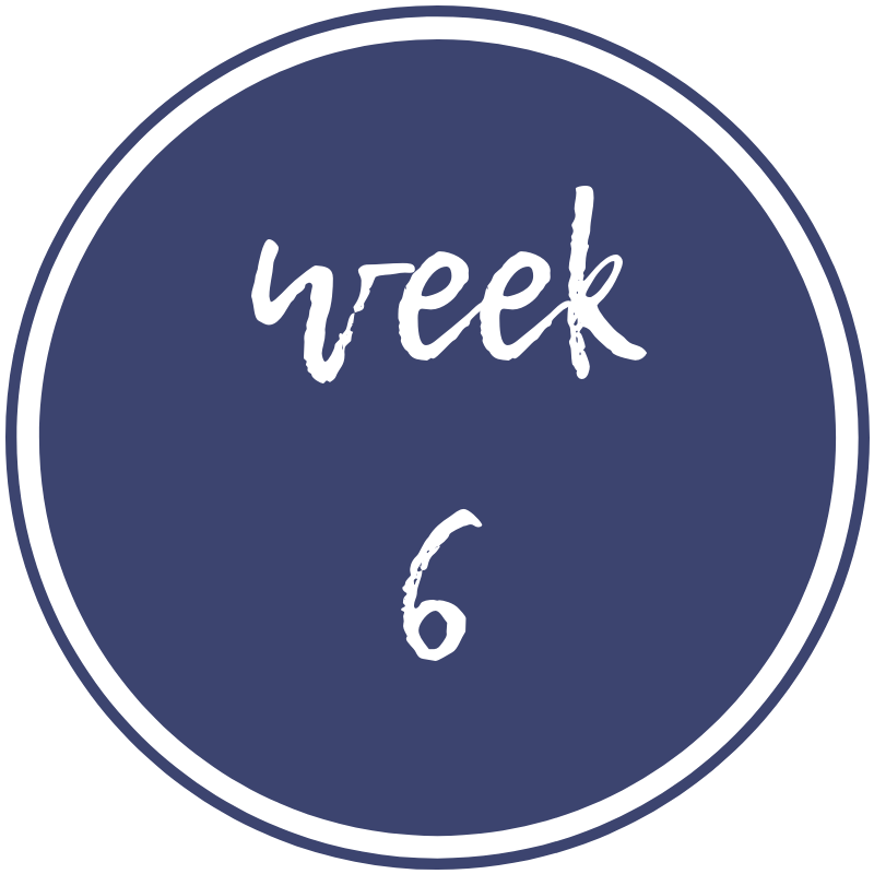 week-6.png