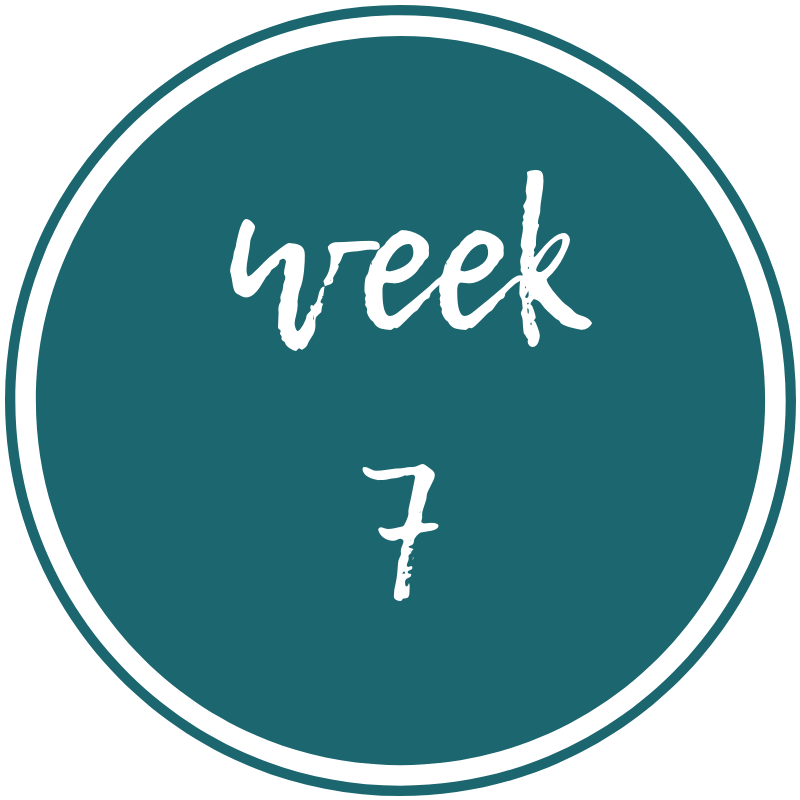 week-7.png