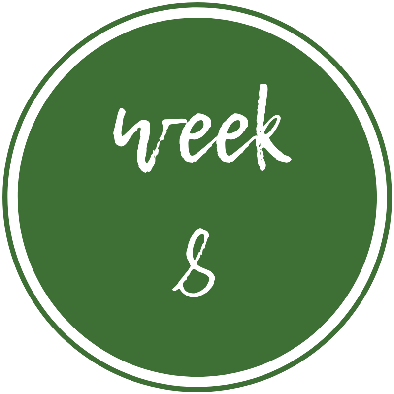 week-8.png