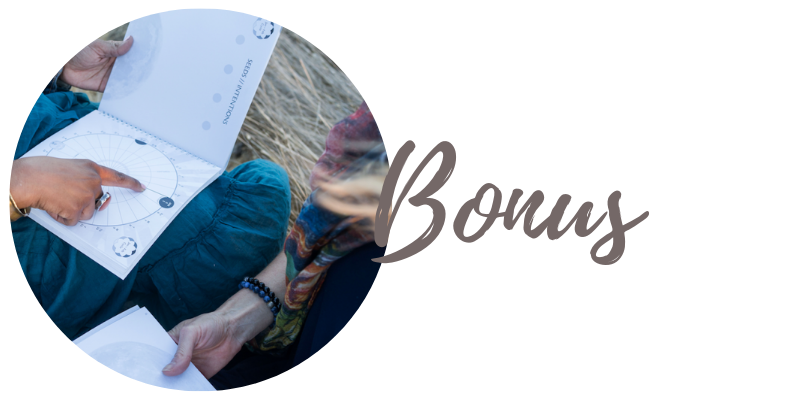 bonus.png