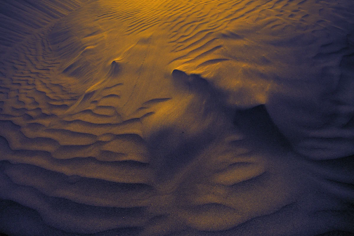Dune #0337