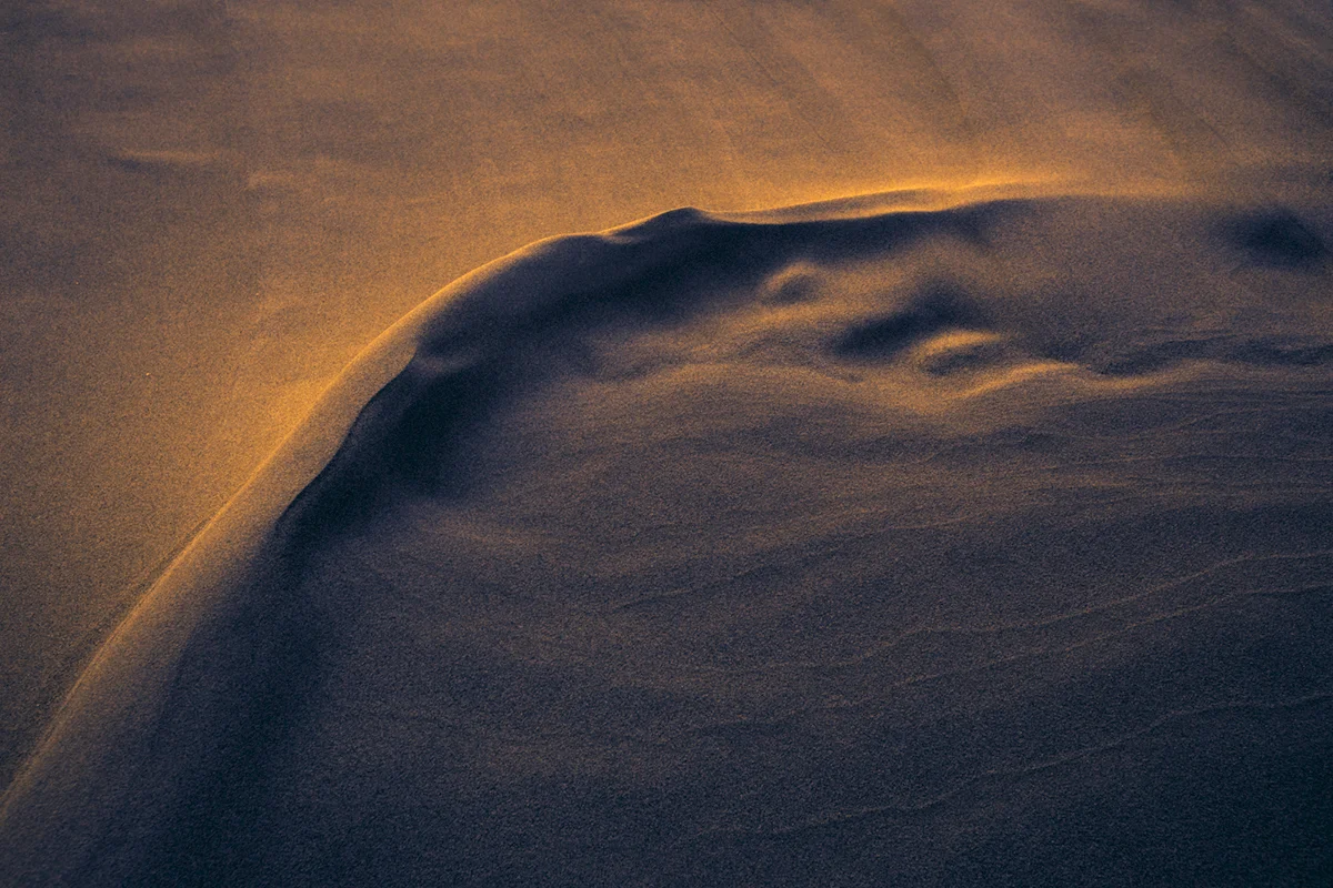 Dune #0338