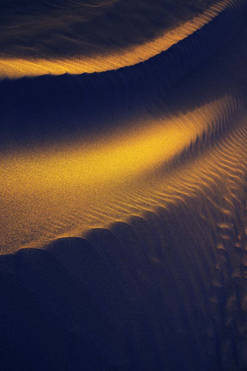 Dune #0360
