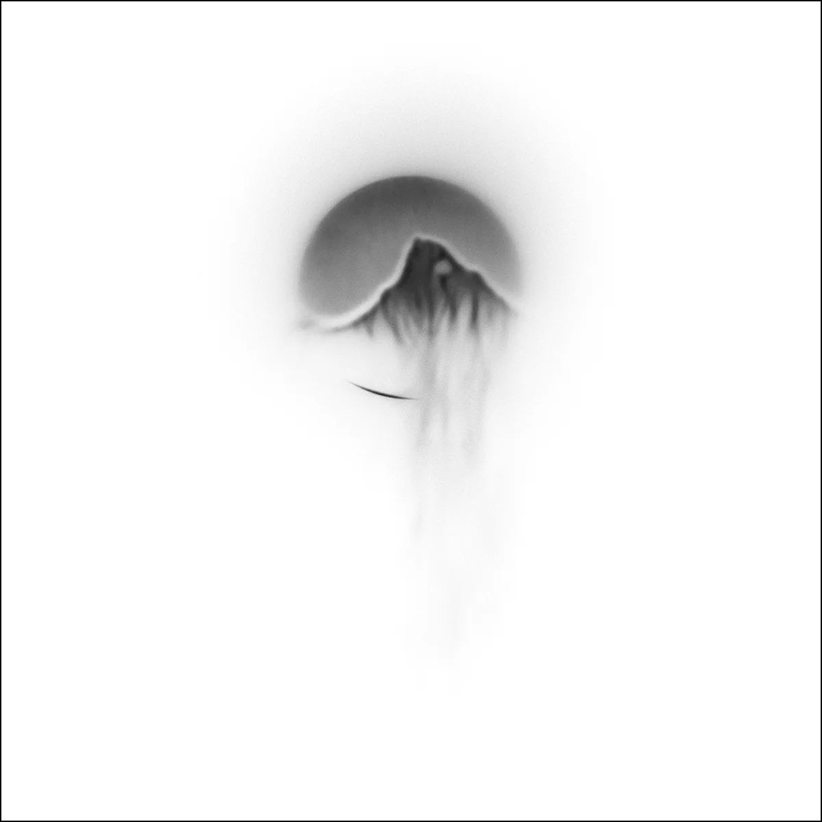 Birth 4