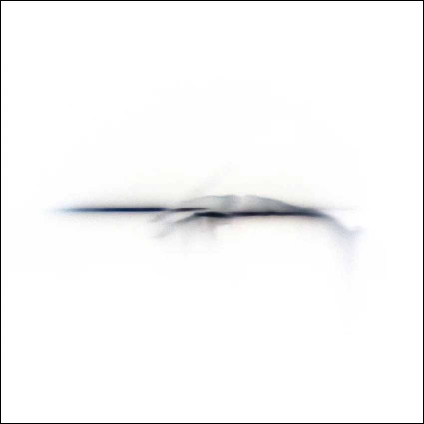Birth 3