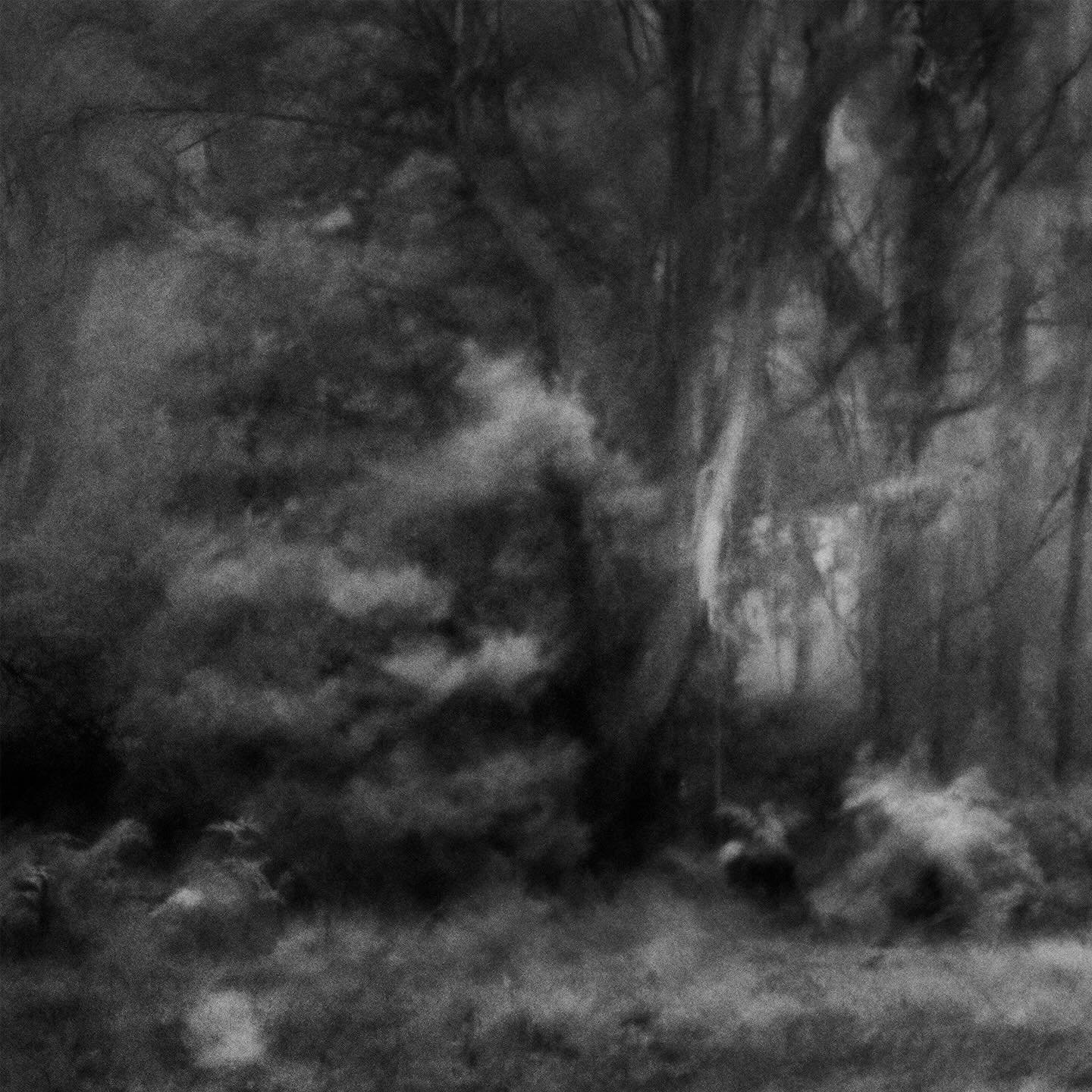 Interrupted infrared 
A repost of the first interrupted infrared post. Slightly refined post production and enlarged to show the detail, or lack thereof :)

Scroll to see the full image

#infraredphotography