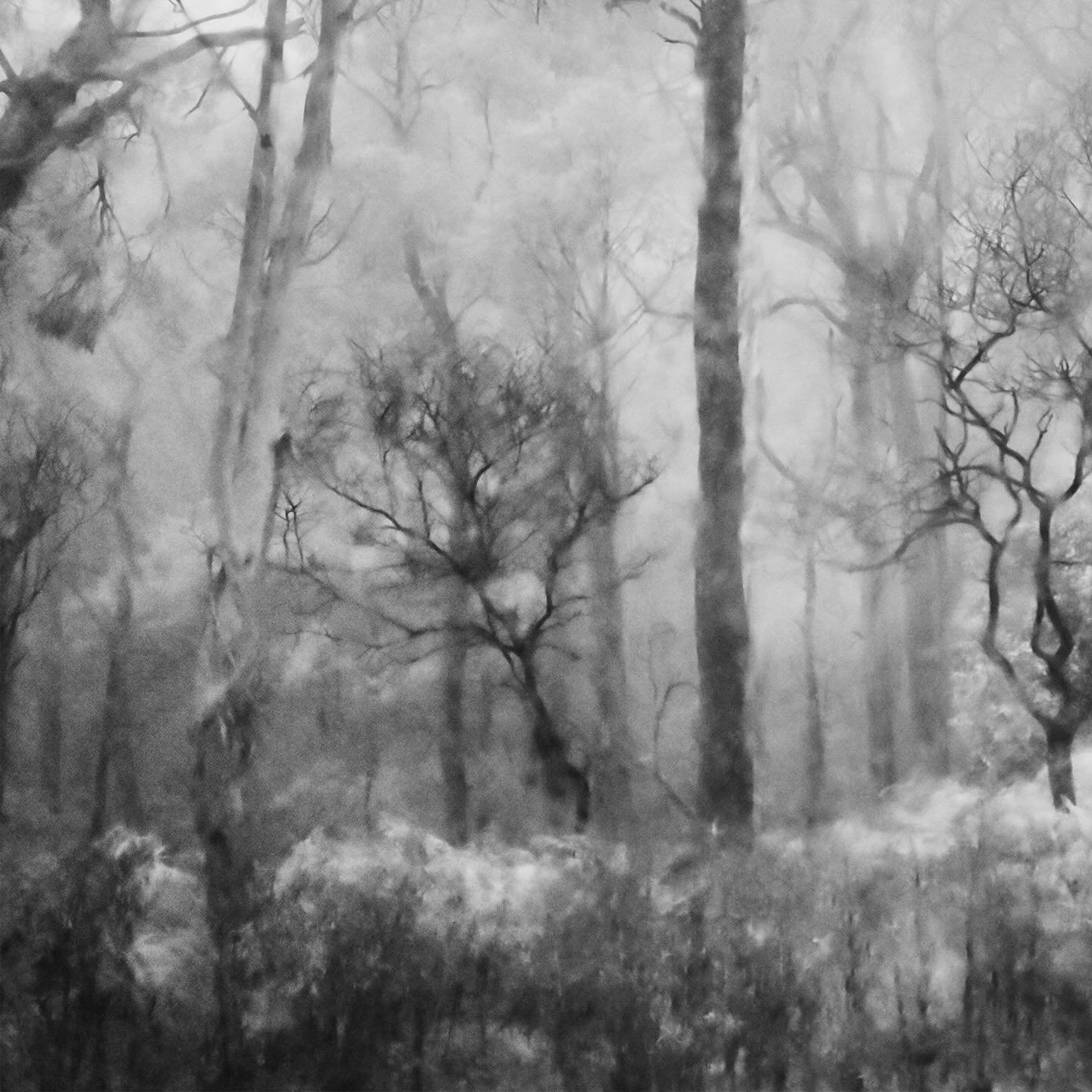 Interrupted Infrared 
Scroll to see the full image
Infrared captured in the rain and heavy fog.

#infraredphotography