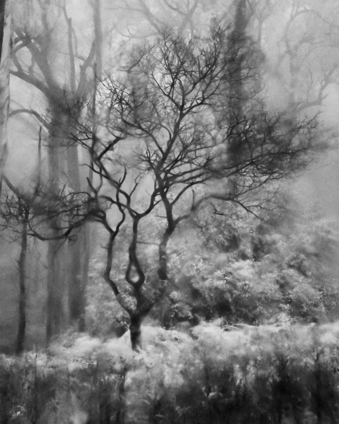 Interrupted infrared continues
Scroll for full image 

#infraredphotography