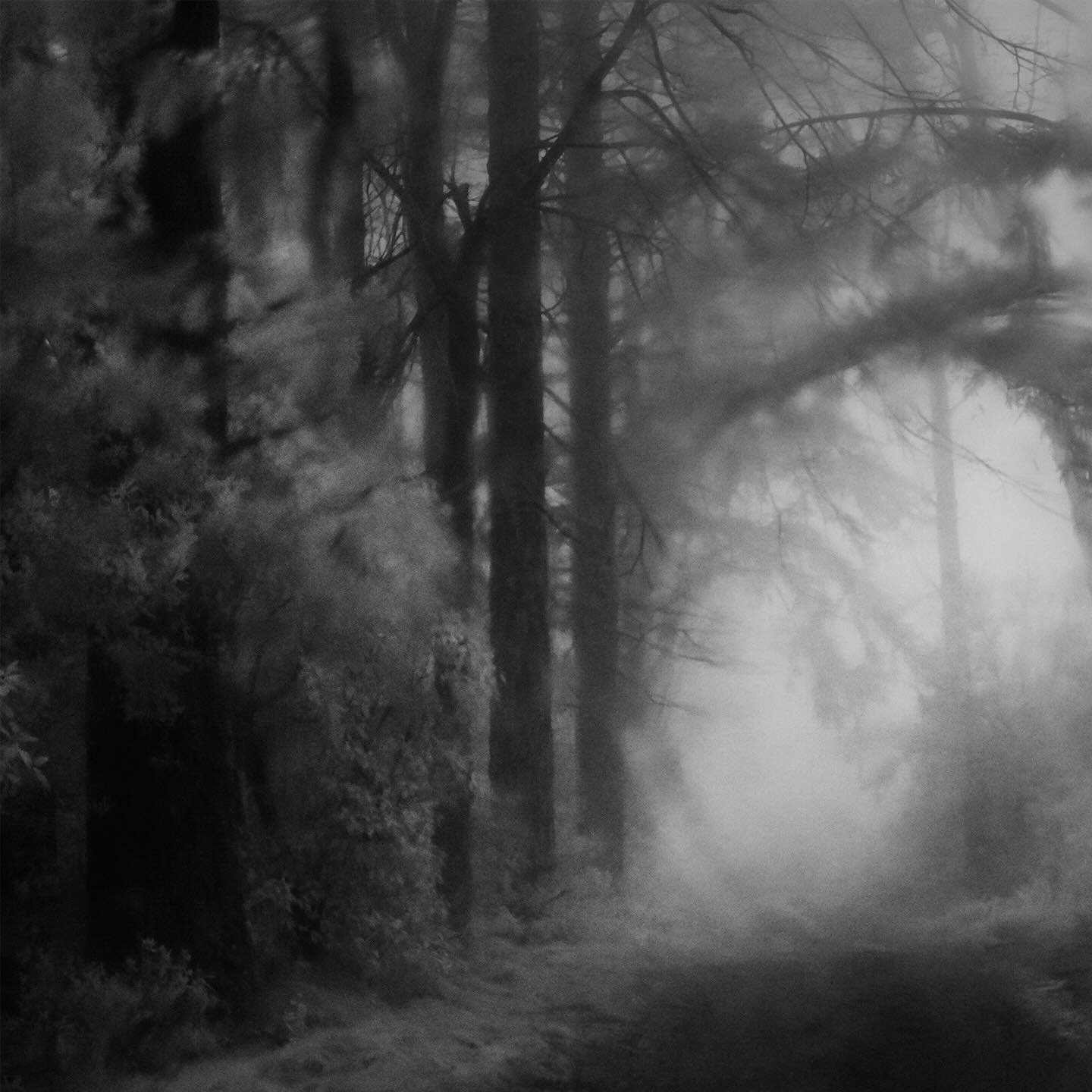Interrupted infrared 
Loving this winter long weekend&hellip;.
Scroll to see full image.

#infraredphotography 
#landscapephotography