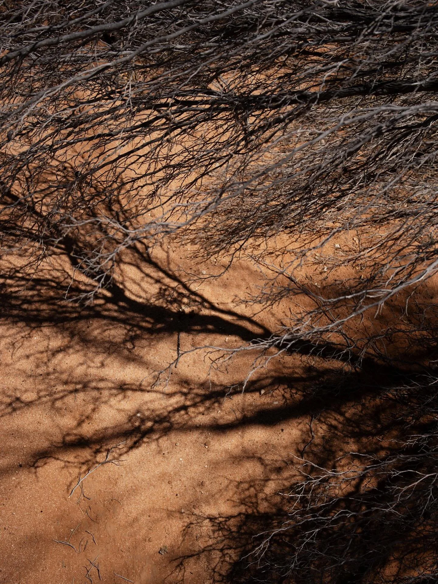 summer wanderings

#landscapephotography