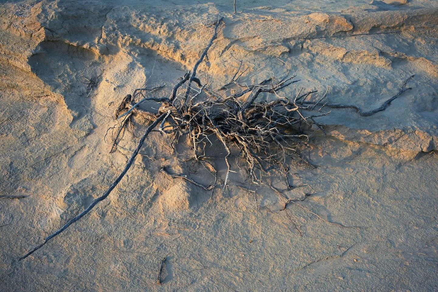 desert wanderings
summer dusk

#landscapephotography
