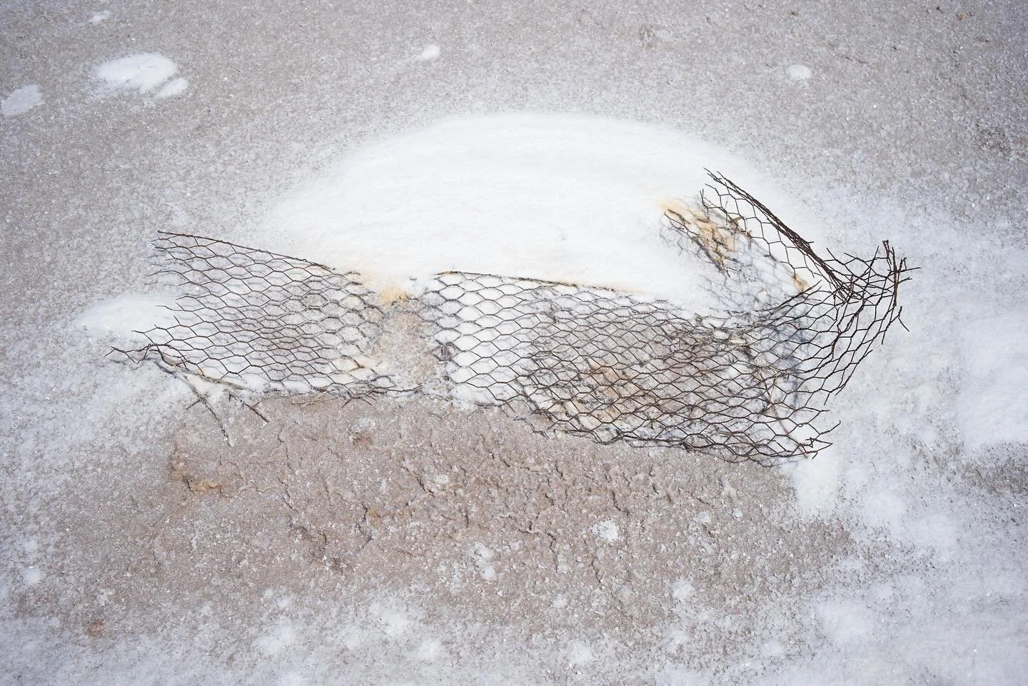 salt lake photo walk 
wire, salt 
midday summer

#landscapephotography