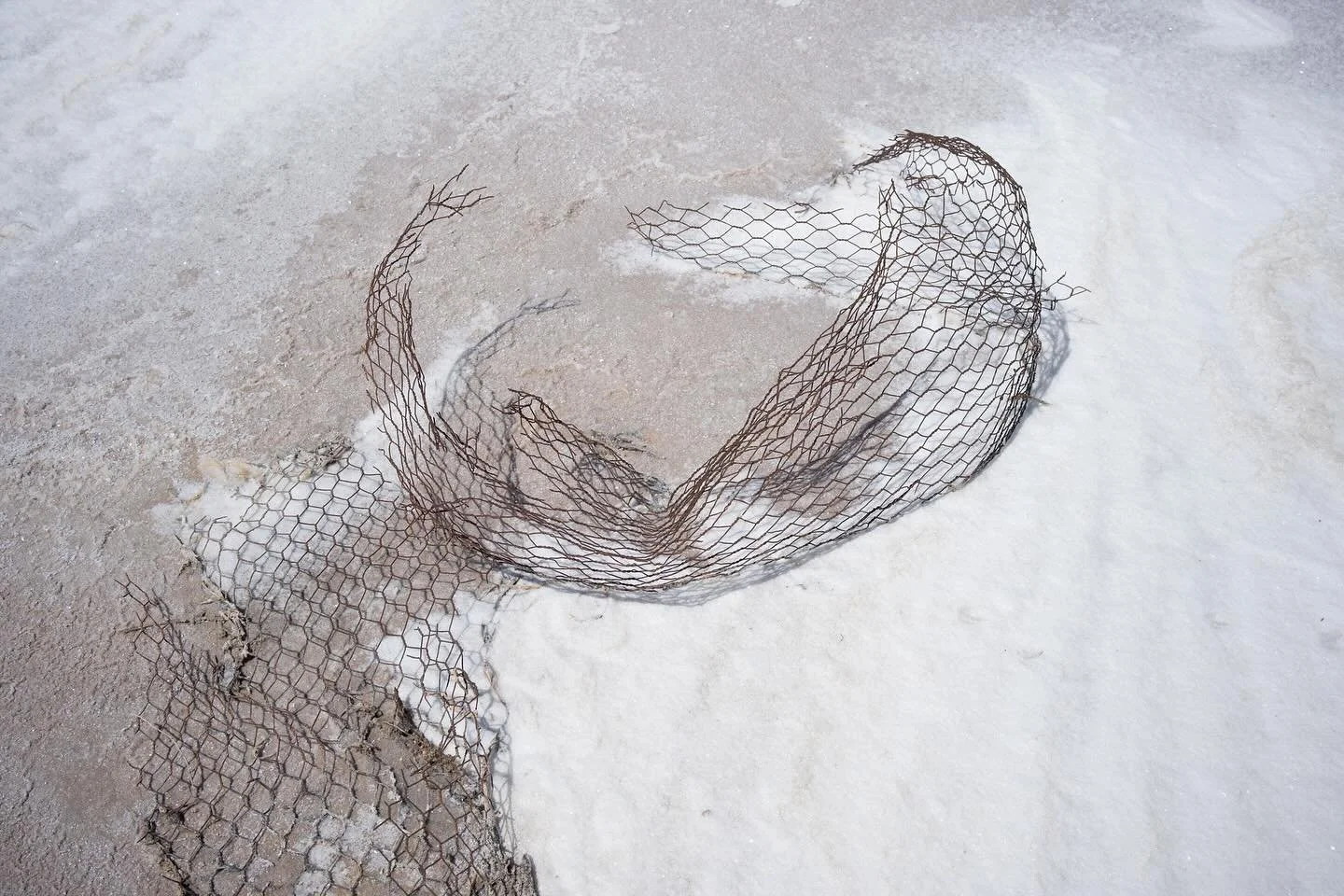 salt lake photo walk 
wire, salt 
midday summer

#landscapephotography