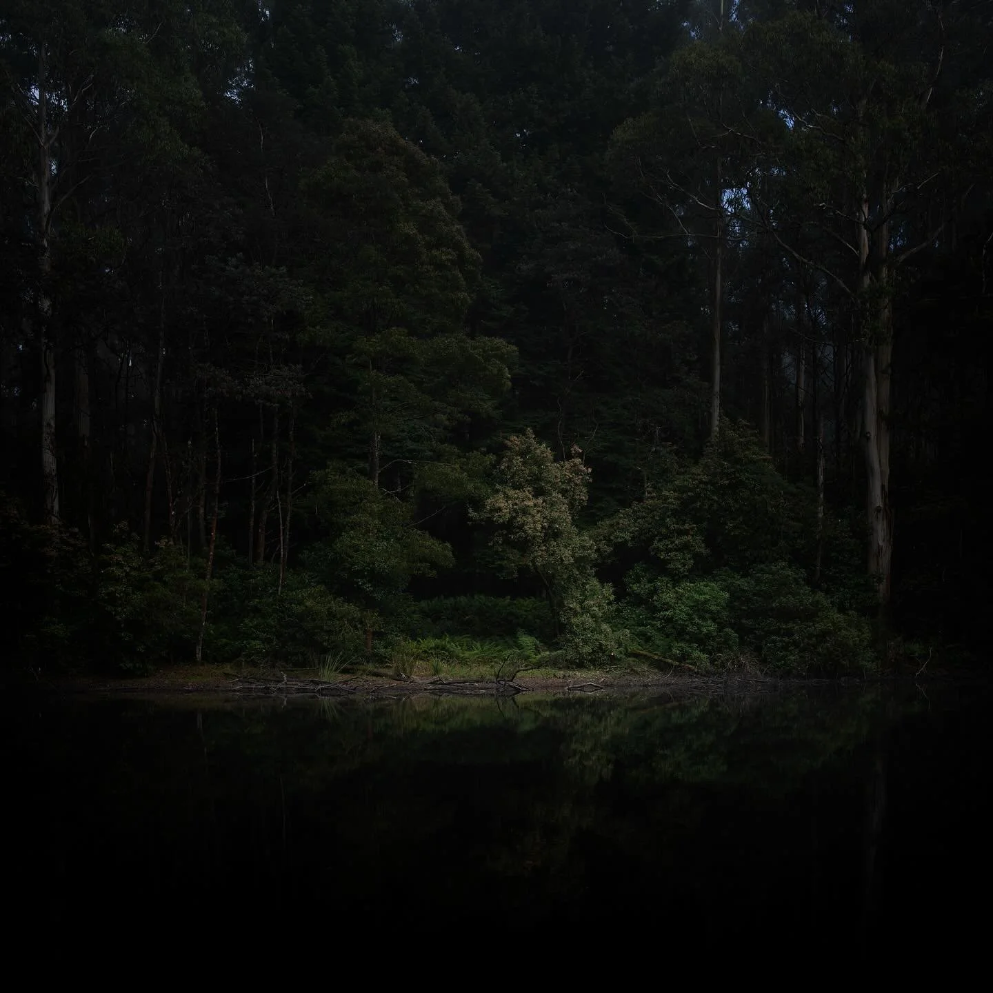 Dawn photowalk
I have been walking every weekend, around 10km as the sunrises, with my camera 
A perfect way to contemplate the week and reset for the next.

#photowalking 
#landscapephotography