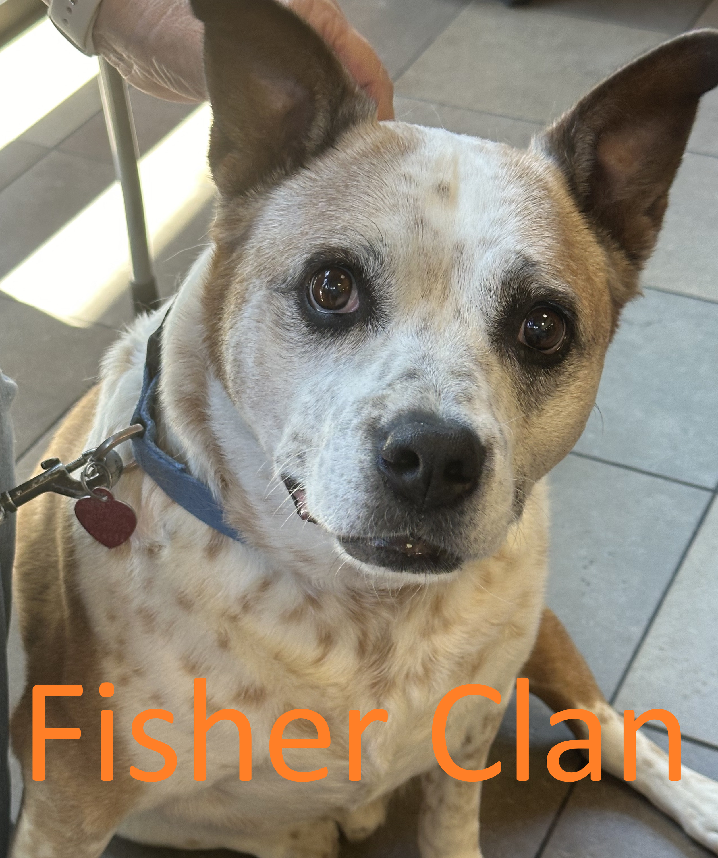 wul94ohcy3htnxx0siz0 labeled.png