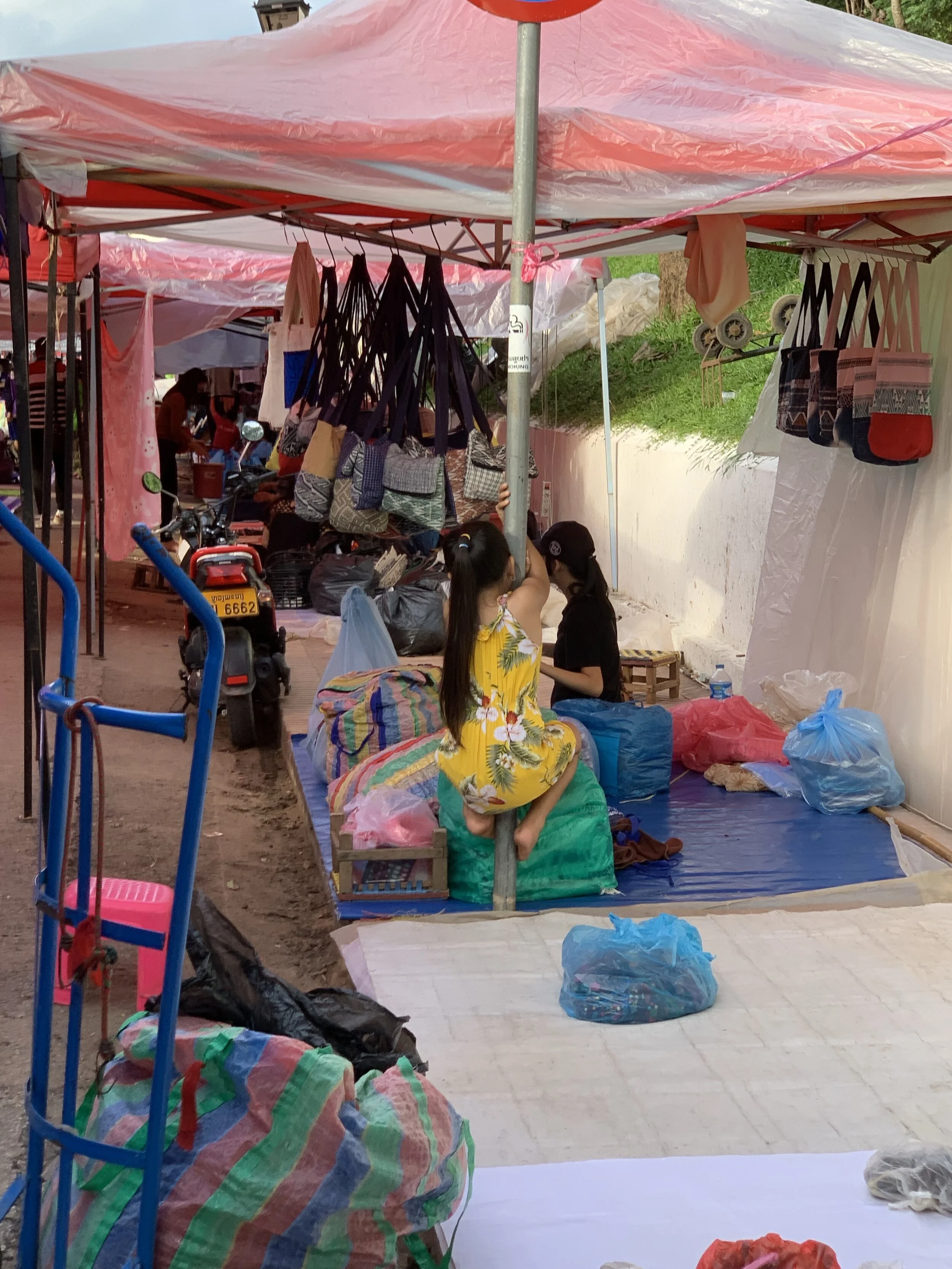 agora gazebo canopy on Laos 2020 Authors At Large