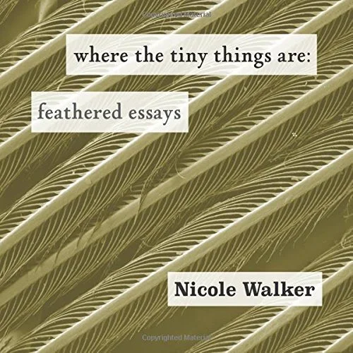 where the tiny things are cover.jpg