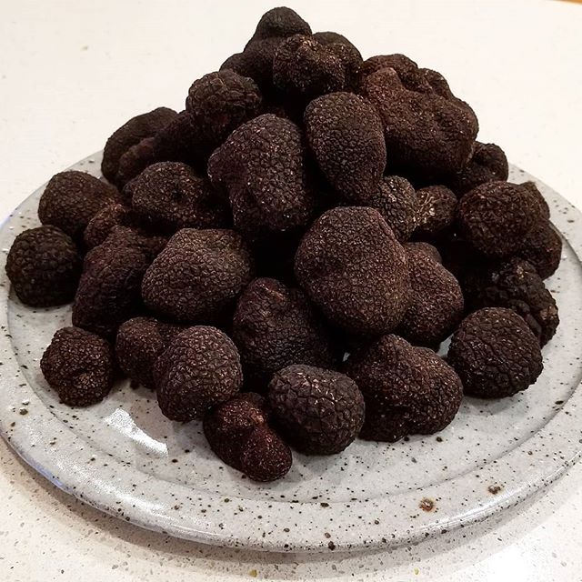 Some awesome truffles available in Canberra this weekend at both the Epic Farmers Market and the Southside Farmers Markets.

We are nearing the end of the season with only a few weeks to go, so dont delay!