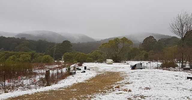 Sometimes springtime gives you an unexpected surprise...
Snow on the farm last night!
