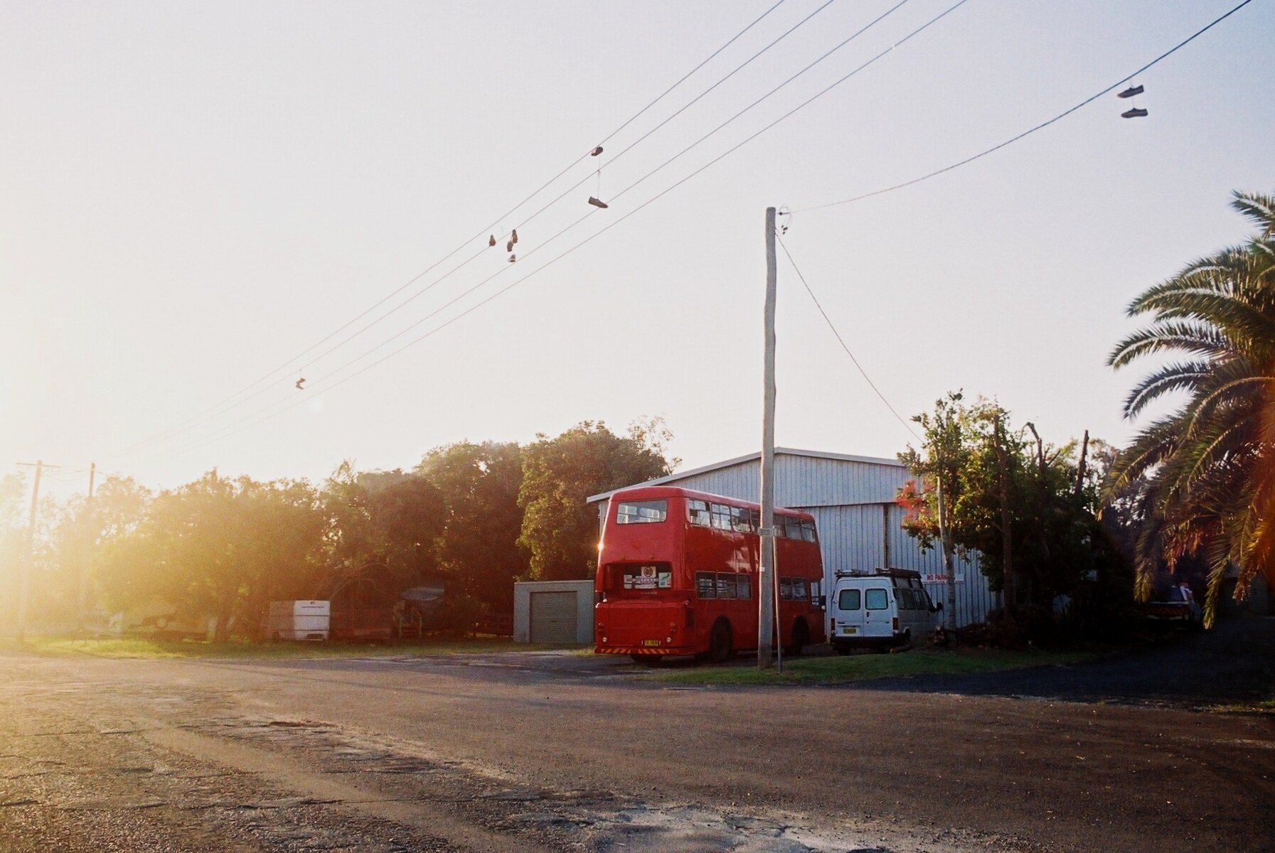 F1010019.jpg