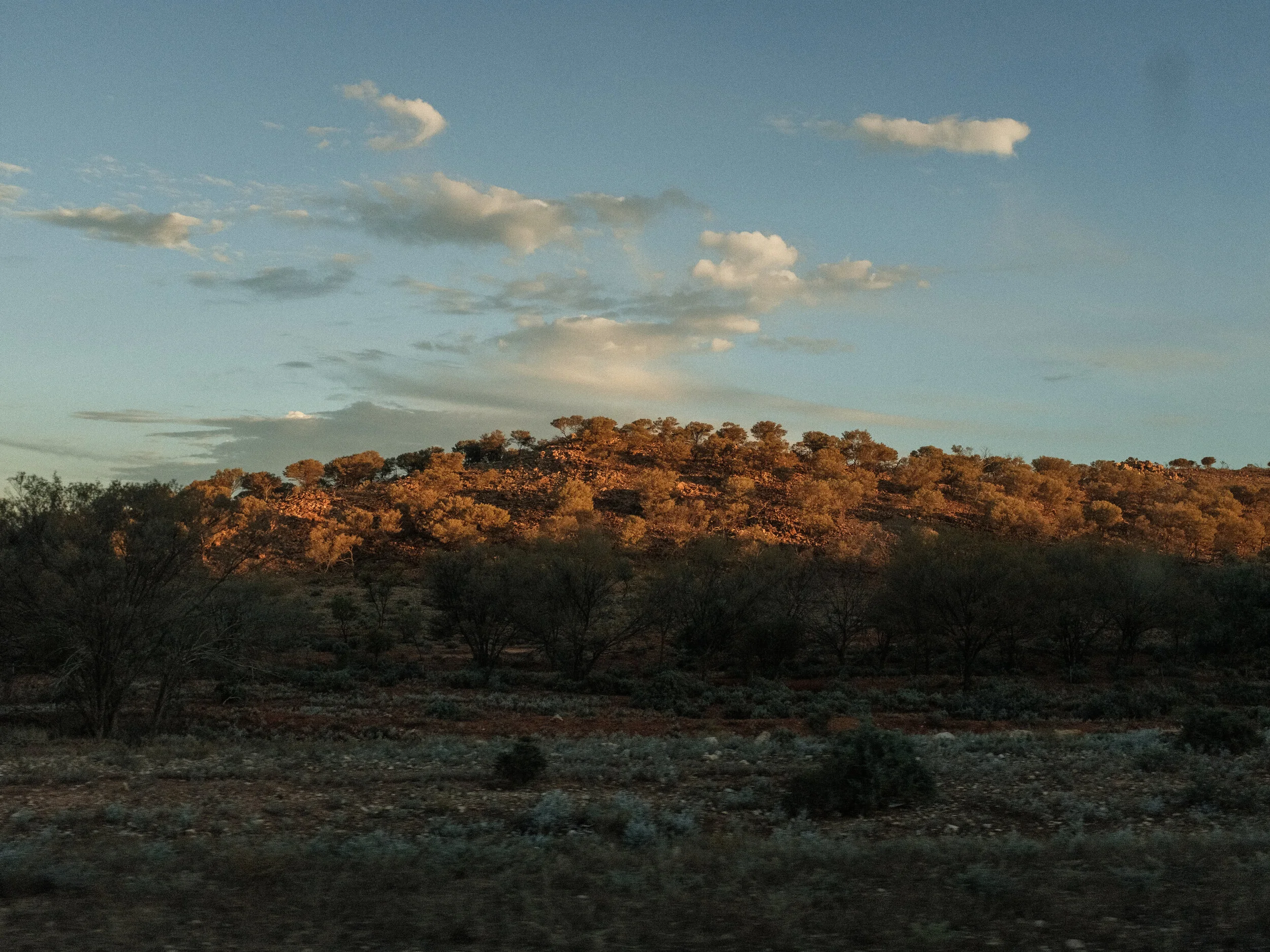 DSCF0055.jpg