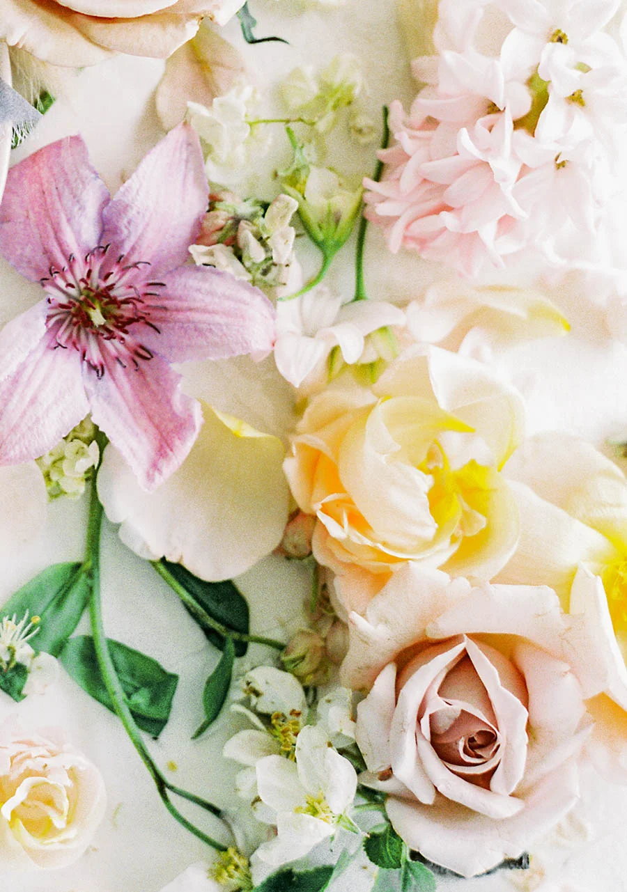 SALLY PINERA PHOTOGRAPHY_LILAC SHOOT_-58.jpg
