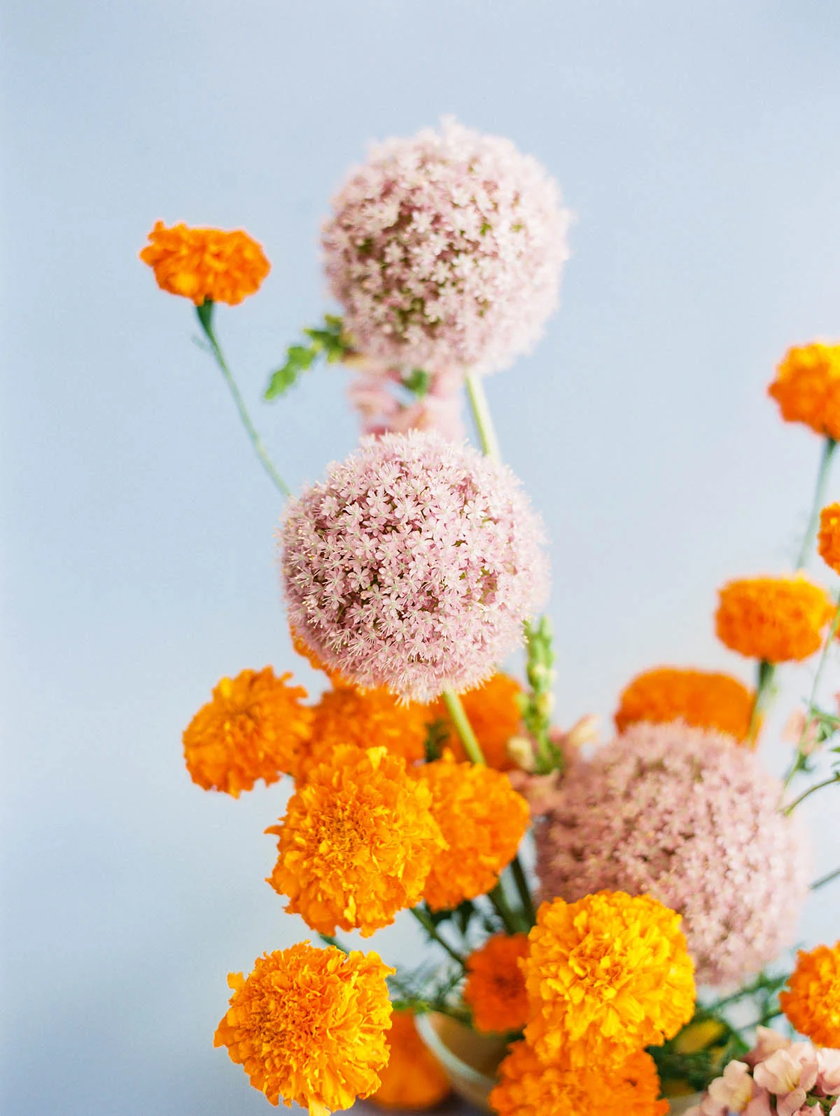 SALLY PINERA PHOTOGRAPHY_COLORBLOCK WEDDING_FILM WEDDING PHOTOGRAPHER_ORANGELAVENDER-20.jpg