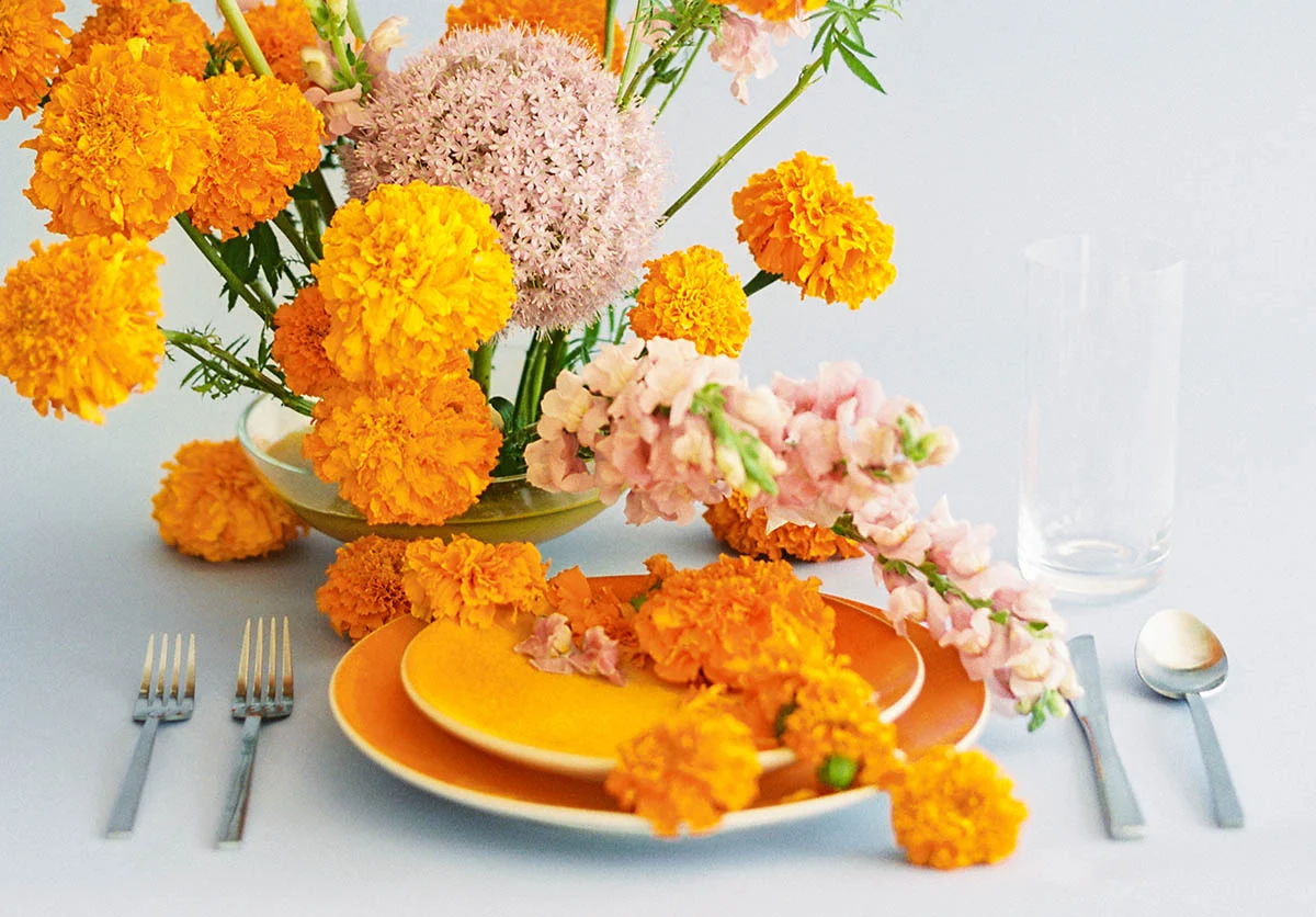 SALLY PINERA PHOTOGRAPHY_COLORBLOCK WEDDING_FILM WEDDING PHOTOGRAPHER_ORANGELAVENDER-30.jpg